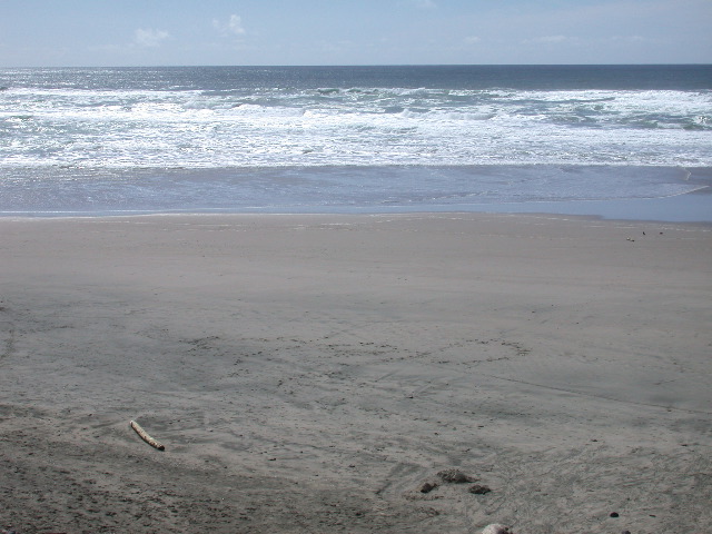 DSCN0067.JPG