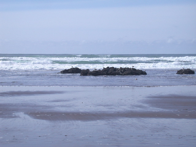 DSCN0074.JPG