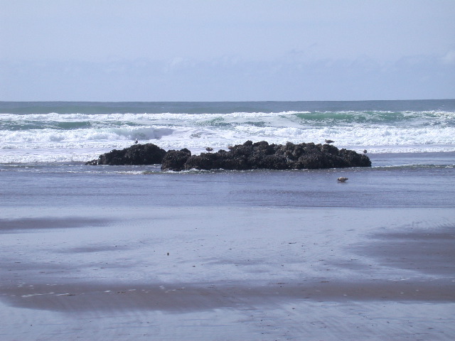 DSCN0075.JPG