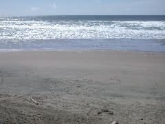 DSCN0067.JPG