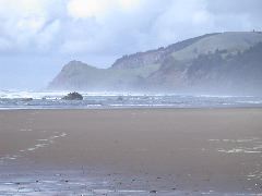 DSCN0079.JPG