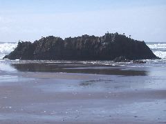 DSCN0072.JPG