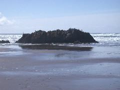 DSCN0073.JPG