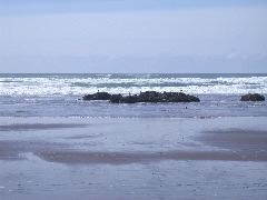 DSCN0074.JPG