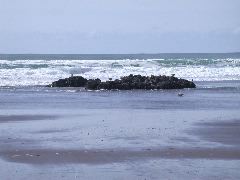 DSCN0075.JPG